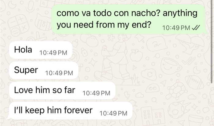 Screenshot: WhatsApp testimonial from a client about Nacho
